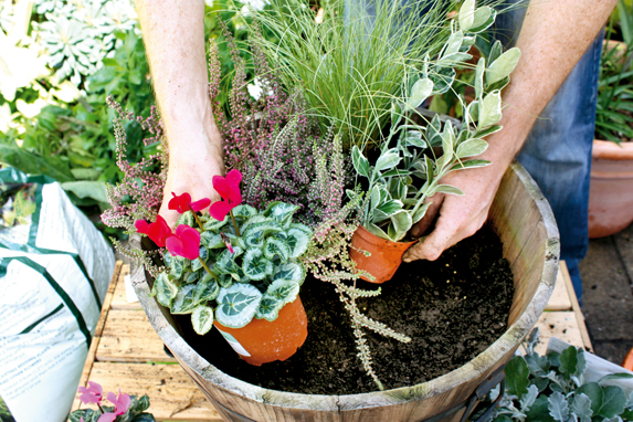 winter container