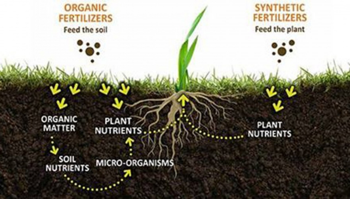 soil organic matter