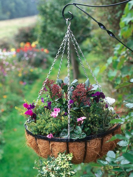 winter hanging basket